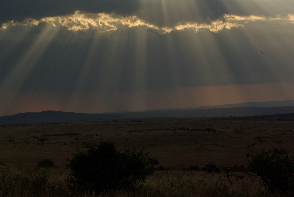 Crepuscular Rays