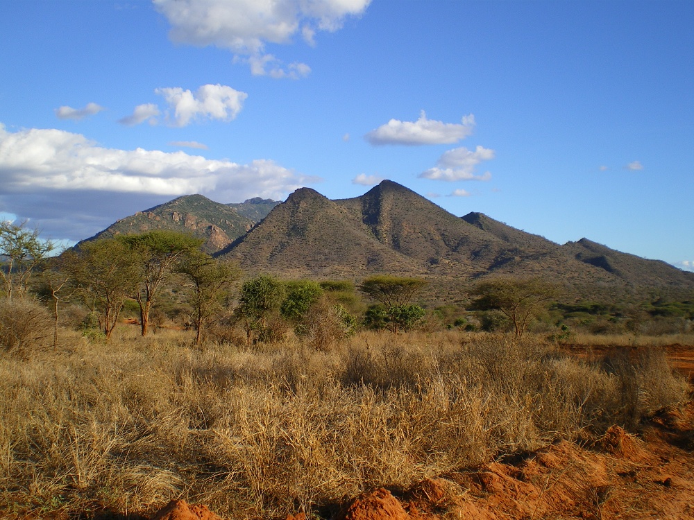 Ngulia Mountains