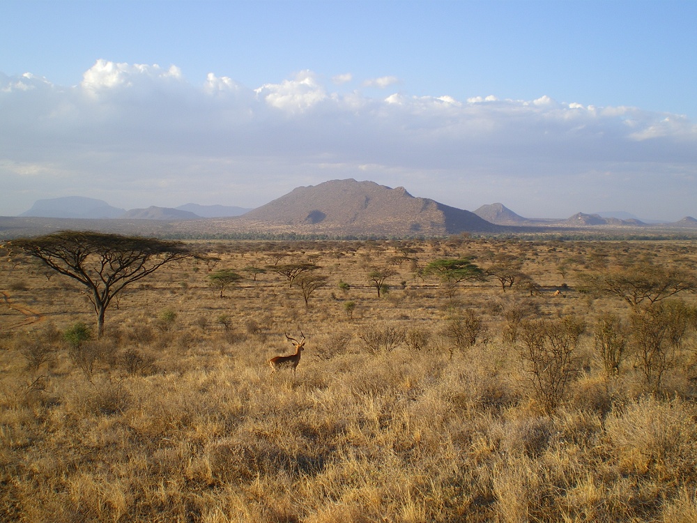 Samburu landscape