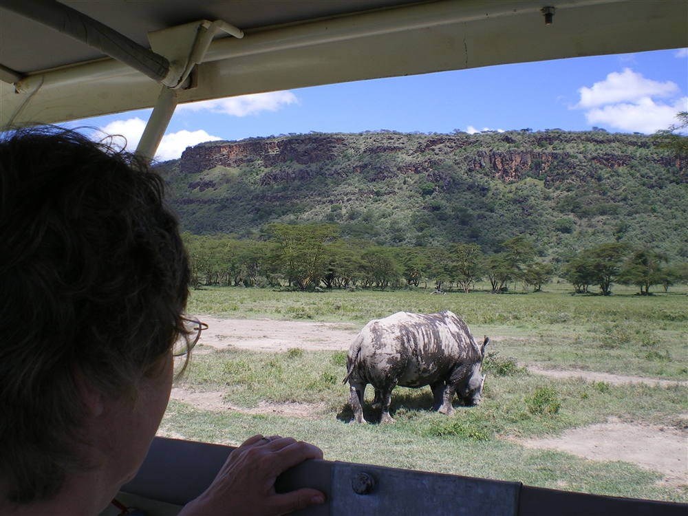 White Rhinoceros