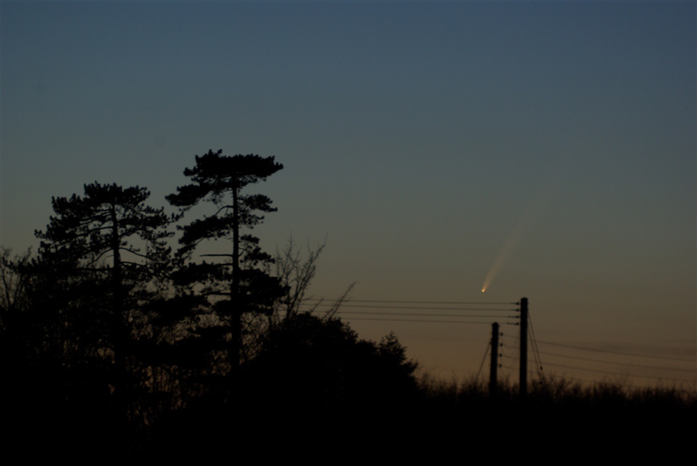 McNaught