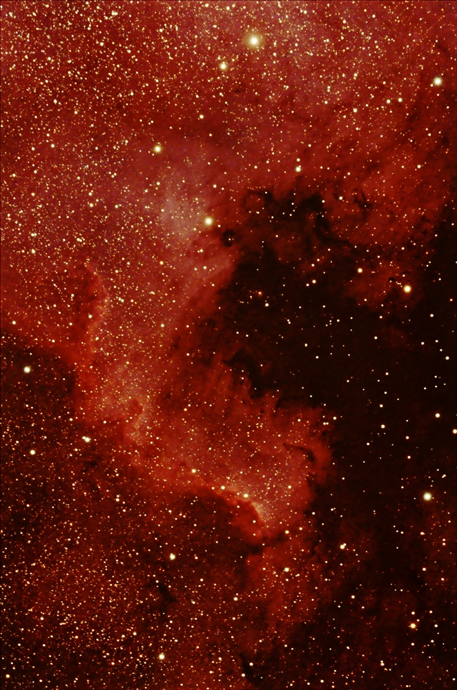 NGC 7000 - North America Nebula