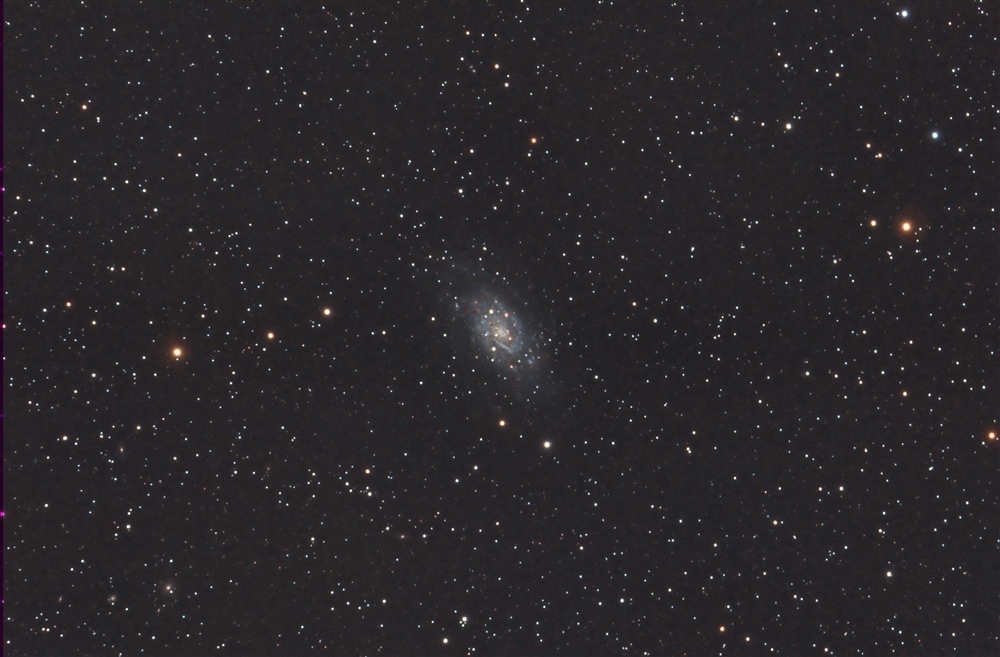 NGC 2403