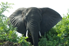 Tanzania 2005