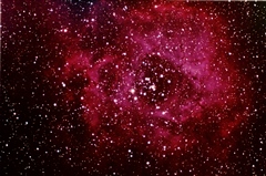 Rosette Nebula