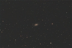 NGC 2903