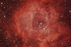 Rosette Nebula