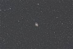 M1 - Crab Nebula