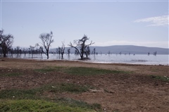 Lake Nakuru