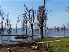 Flood Damage