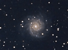 M74